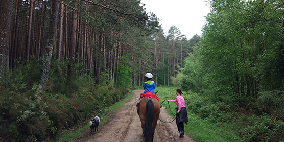 Niño montando a caballo acompañado de instructor, por un bonito sendero